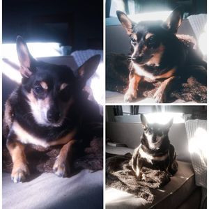 Meet your Posher, Dani